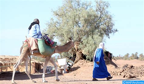 Le Commerce Trans-Saharien: Ouverture d'une Nouvelle Route vers l'Or et les Êchanges Culturels