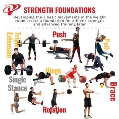 What is Power Physical Education: A Journey Beyond Strength and Stamina