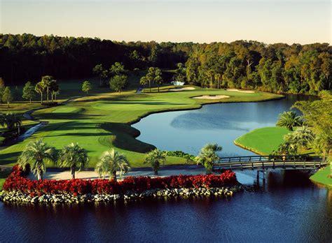 Which Disney Golf Course is the Best: A Journey Through the Greens of Imagination